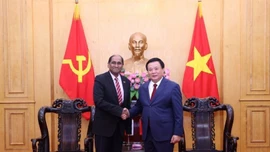 Việt Nam tăng cường hợp tác đào tạo, bồi dưỡng cán bộ với Singapore và Ireland