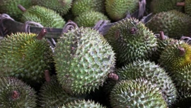 Sầu riêng và chiến lược xuất khẩu của Malaysia