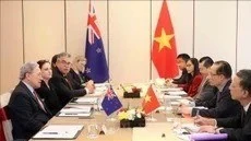 New Zealand viện trợ 3 triệu NZD cho Việt Nam để khắc phục hậu quả bão lũ