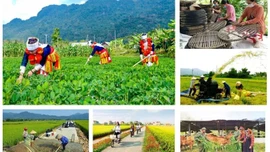 Kiện toàn thành viên Ban Chỉ đạo Trung ương các chương trình mục tiêu quốc gia 2021 - 2025