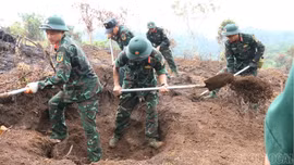 Phê duyệt thành viên Ban Chỉ đạo quốc gia về tìm kiếm, quy tập và xác định danh tính hài cốt liệt sĩ