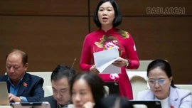 Đại biểu Quốc hội Nguyễn Thị Lan Anh góp ý hoàn thiện chính sách giáo dục nghề nghiệp