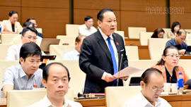 Đại biểu Quốc hội tỉnh Lào Cai Tráng A Dương tham gia thảo luận về Dự án Luật Thủ đô (sửa đổi)