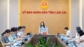 Phó Chủ tịch UBND tỉnh Vũ Thị Hiền Hạnh làm việc với Sở Văn hóa, Thể thao và Du lịch
