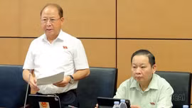 Đoàn Đại biểu Quốc hội tỉnh tham gia thảo luận 3 dự án luật quan trọng