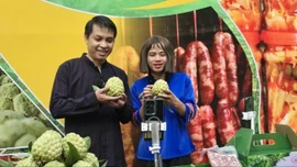 Chủ tịch xã ở Lạng Sơn cùng Tiktoker livestream bán na núi đá giúp dân