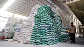Giá gạo Việt Nam tiếp đà tăng mạnh, vươn lên mức đắt đỏ nhất thế giới