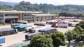 Hơn 600 doanh nghiệp tham gia xuất - nhập khẩu qua Chi cục Hải quan Khu vực VII