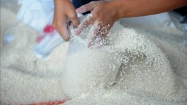 Xuất cấp hơn 4.150 tấn gạo hỗ trợ nhân dân dịp Tết và giáp hạt