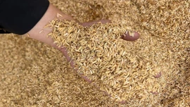'Mỏ vàng' của ngành nông nghiệp