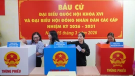 Những điều cử tri cần lưu ý khi tham gia bỏ phiếu