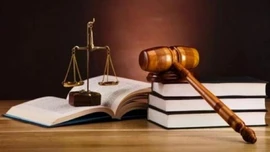 Chính sách mới nổi bật có hiệu lực từ giữa tháng 3/2026