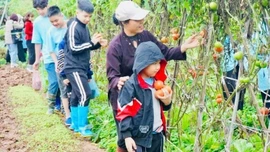 Định hình thương hiệu du lịch xanh