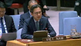 Việt Nam khẳng định cam kết đối với tương lai hoạt động gìn giữ hòa bình Liên Hợp Quốc