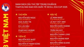 U18 Việt Nam dự giải đấu ở Hàn Quốc, chuyên gia Nhật Bản làm HLV trưởng