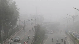 Thời tiết ngày 15/1: Bắc Bộ và Bắc Trung Bộ trời rét, nhiều nơi có sương mù