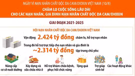 Chăm lo cuộc sống lâu dài cho các nạn nhân, gia đình nạn nhân chất độc da cam/dioxin