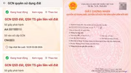 Sổ đỏ bắt đầu hiển thị trên VNeID, người dân có thể tra cứu