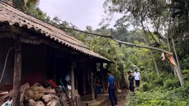 Khẩn trương hỗ trợ người dân khắc phục hậu quả dông lốc và mưa lớn