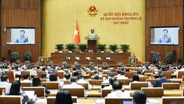 Thông cáo báo chí số 4, Kỳ họp không thường lệ thứ Nhất, Quốc hội khóa XVI
