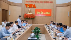 Ban Thường vụ Tỉnh ủy làm việc với Tập đoàn Công nghệ CMC