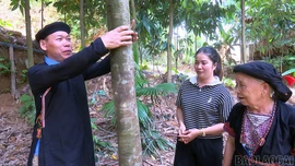 Phát huy vai trò người uy tín trong vùng đồng bào dân tộc thiểu số