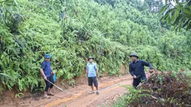 Mỏ Vàng phê duyệt 9 dự án giao thông nông thôn, tạo động lực phát triển các thôn vùng cao