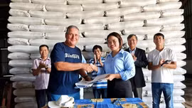 Bàn giao 1.200 tấn gạo do Việt Nam sản xuất cho Cuba