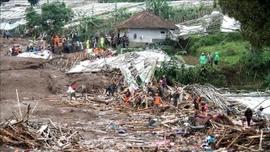 Tìm kiếm trên 80 người mất tích trong vụ lở đất tại Indonesia