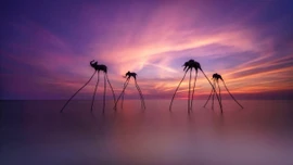 Phú Quốc và Bangkok dẫn đầu tìm kiếm du lịch Tết Nguyên đán 2026