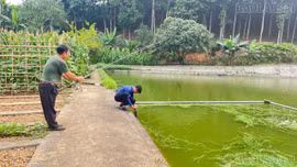 Hướng đi mới cho thủy sản Bảo Hà