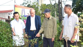 Bảo tồn và phát triển cây thuốc nam