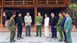 Bình yên từ cơ sở