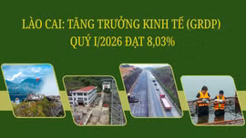 Lào Cai: Tăng trưởng kinh tế (GRDP) quý I/2026 đạt 8,03%