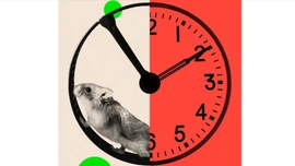 Tuần làm việc 72 giờ trong cuộc đua AI