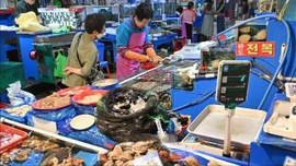 Hàn Quốc khuyến cáo tránh ăn hải sản sống vì vi khuẩn "ăn thịt người"