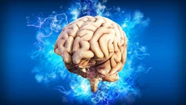 Tham vọng 'chỉnh sửa' não người để điều trị bệnh thần kinh