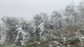 Không khí lạnh tăng cường, miền Bắc chuyển rét trong ngày đầu năm mới 2026