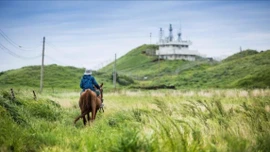 Những điểm đến gắn liền với hình tượng ngựa không thể bỏ qua tại Hàn Quốc