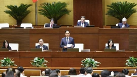 Ngày 14/11, Quốc hội nghe Chủ tịch nước trình bày Tờ trình đề nghị phê chuẩn Hiệp định đối ngoại