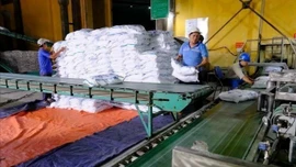 Ngành mía đường trước sức ép lớn từ đường lỏng nhập khẩu