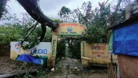 Bão Bualoi đổ bộ Philippines khiến 4 người thiệt mạng