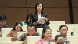 Đại biểu Quốc hội tỉnh Lào Cai phát biểu tại nghị trường về phát triển kinh tế - xã hội