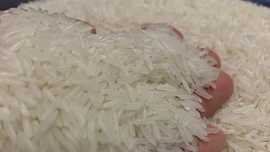 Giá gạo giảm sâu, doanh nghiệp Việt Nam chi 1 tỷ USD nhập khẩu về