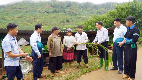 Đảng viên Tà Xi Láng tiên phong mở hướng thoát nghèo cho người dân vùng cao