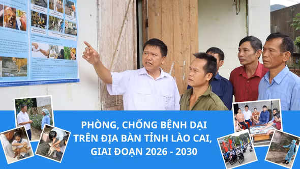 Phòng, chống bệnh dại trên địa bàn tỉnh Lào Cai, giai đoạn 2026 - 2030
