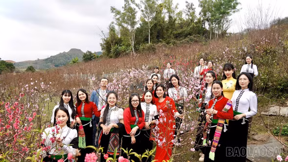 Phường Trung Tâm: Hiện thực hóa Nghị quyết 35 của Tỉnh ủy về phát triển du lịch