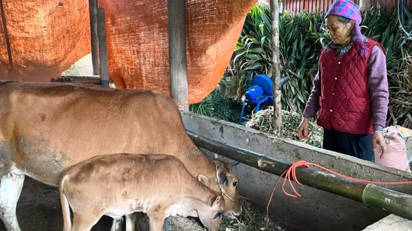 Lào Cai kêu gọi ủng hộ Quỹ “Vì người nghèo” năm 2026