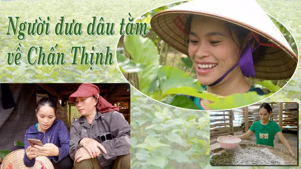 Người đưa dâu tằm về Chấn Thịnh
