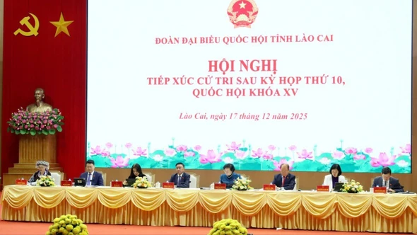 Hội nghị